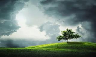 生活充满阳光的文案 生活充满阳光的文案