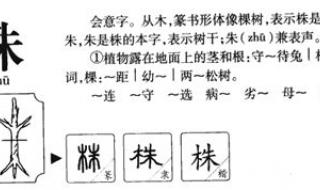 致的拼音和组词 致的拼音和组词