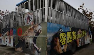 秦岭野生动物园路线