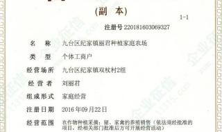 在线申请营业执照 在线申请营业执照