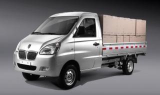 金杯海星t20 金杯海星t20