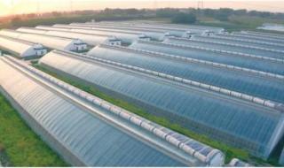 郑州农博会 郑州农博会