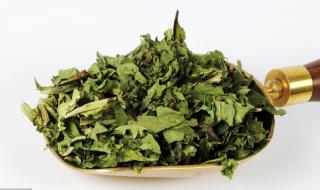 黄花地丁的别名叫什么 黄花地丁的别名叫什么