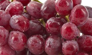 我会送你红色玫瑰 我会送你红色玫瑰