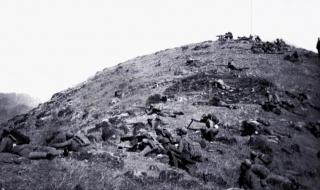 黄河之水天上来伴奏