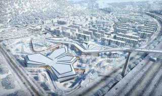 奥运会项目有哪些?